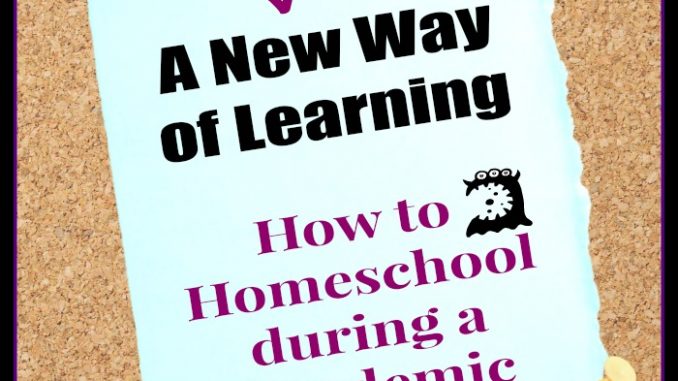 homeschool pandemic INSTA